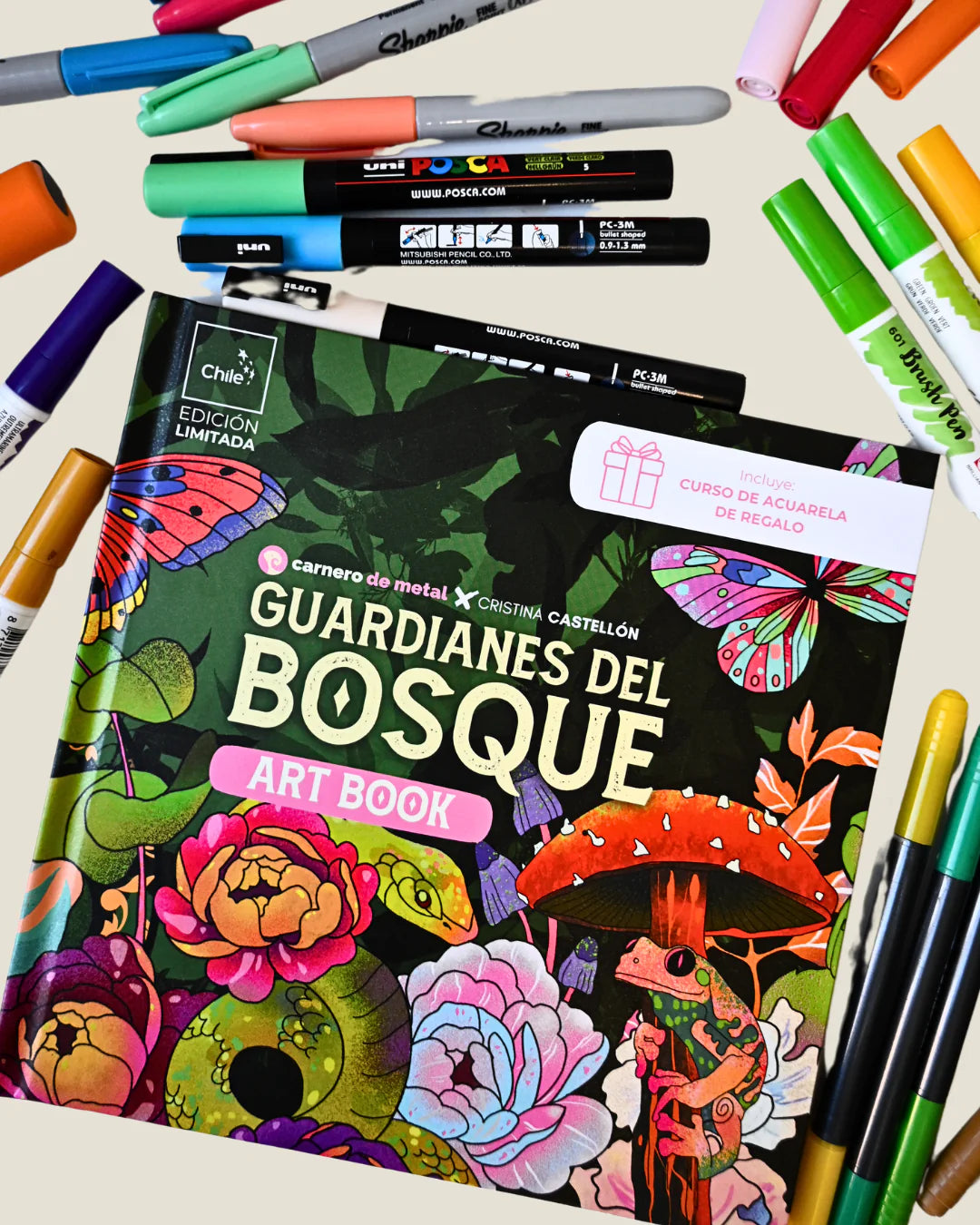 Libro para colorear Guardianes del Bosque